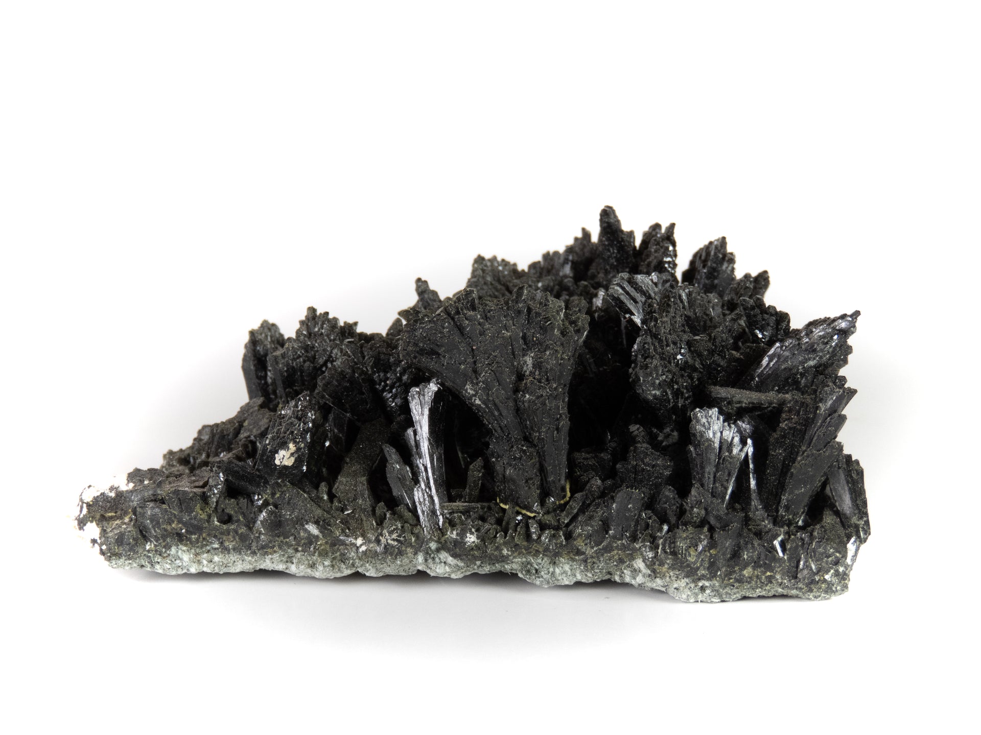 A horizontal specimen of dark, lustrous epidote crystals arranged in multiple fan-shaped sprays emerging from a pale gray matrix base. The crystals show a distinctive black color and highly reflective surfaces, forming a dramatic array of upward-reaching formations along the matrix.