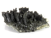 A horizontal specimen of dark, lustrous epidote crystals arranged in multiple fan-shaped sprays emerging from a pale gray matrix base. The crystals show a distinctive black color and highly reflective surfaces, forming a dramatic array of upward-reaching formations along the matrix.