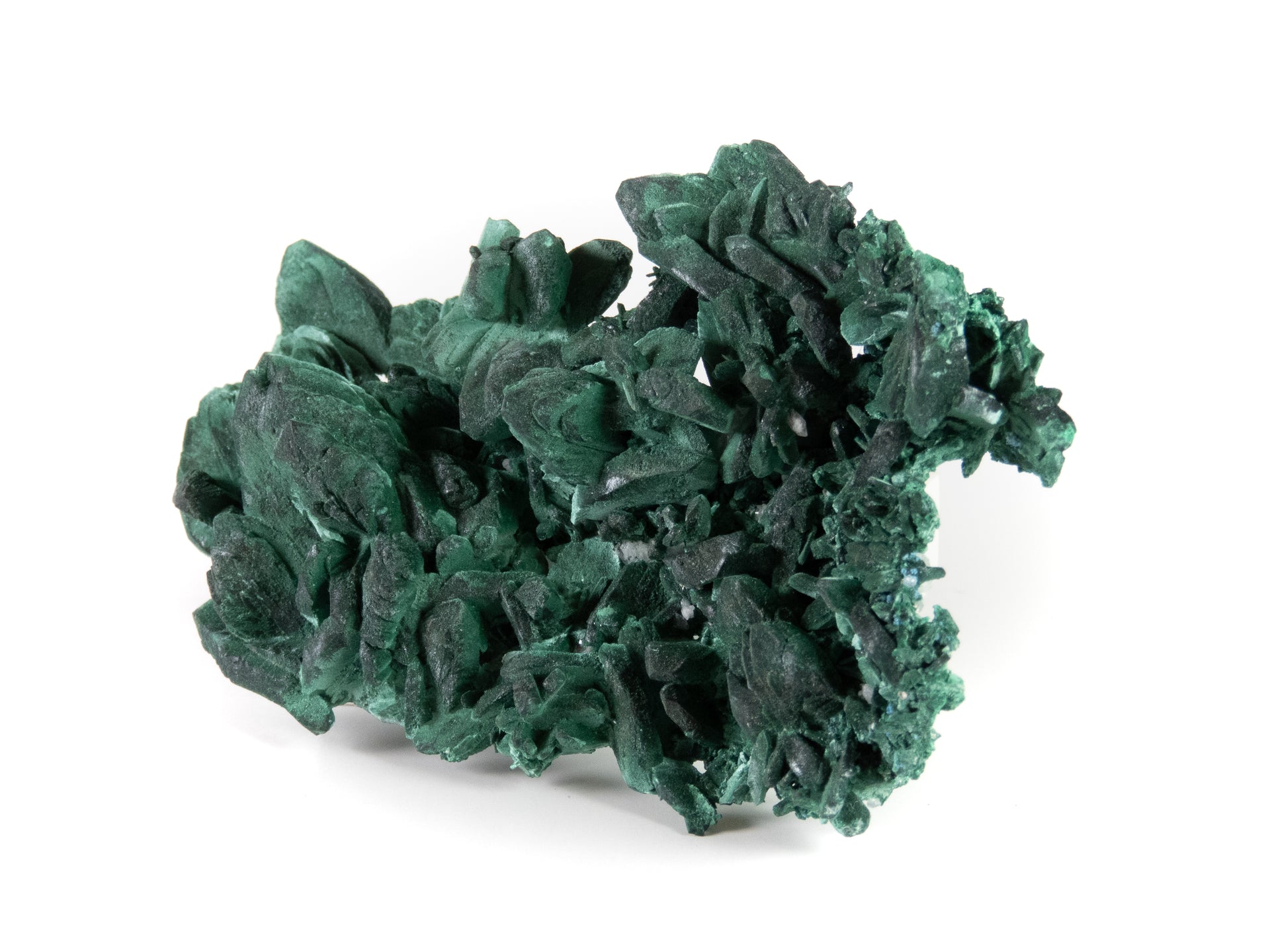 A superior malachite pseudomorph specimen featuring expansive crystal replacements with velvety texture and varied green hues. The 12 cm plate from Mexico's Milpillas Mine displays exceptional preservation of original azurite forms, striking dimensional presentation, and represents classic material from this world-class locality.
