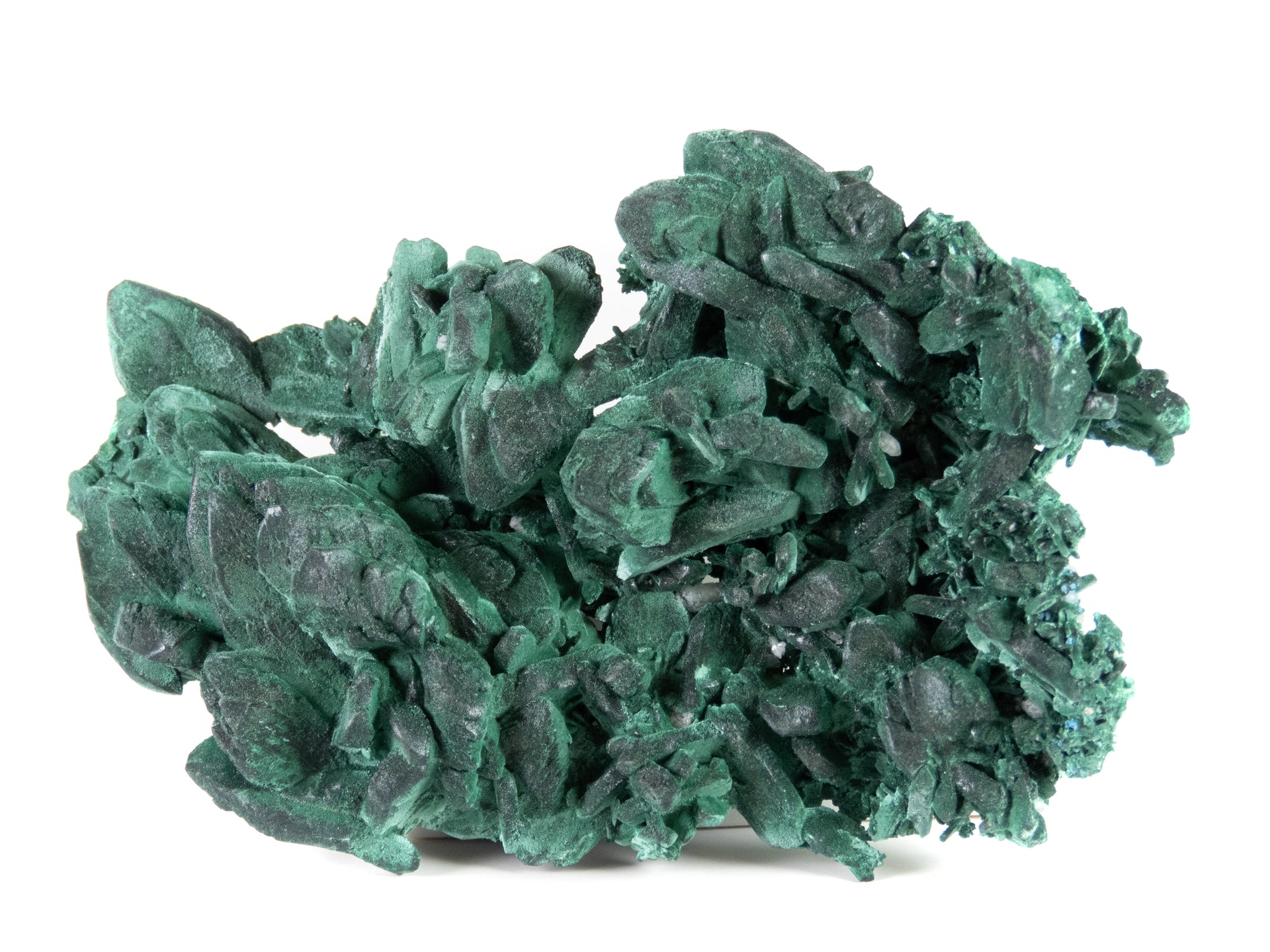A superior malachite pseudomorph specimen featuring expansive crystal replacements with velvety texture and varied green hues. The 12 cm plate from Mexico's Milpillas Mine displays exceptional preservation of original azurite forms, striking dimensional presentation, and represents classic material from this world-class locality.