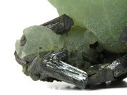 A magnificent prehnite specimen featuring large honeydew-green spherical crystals with exceptional transparency, perched elegantly on black prismatic epidote matrix. The 10 cm specimen from Mali's famous mid-2000s discovery displays pristine condition, outstanding crystal development, and represents the finest quality of this classic mineral association.