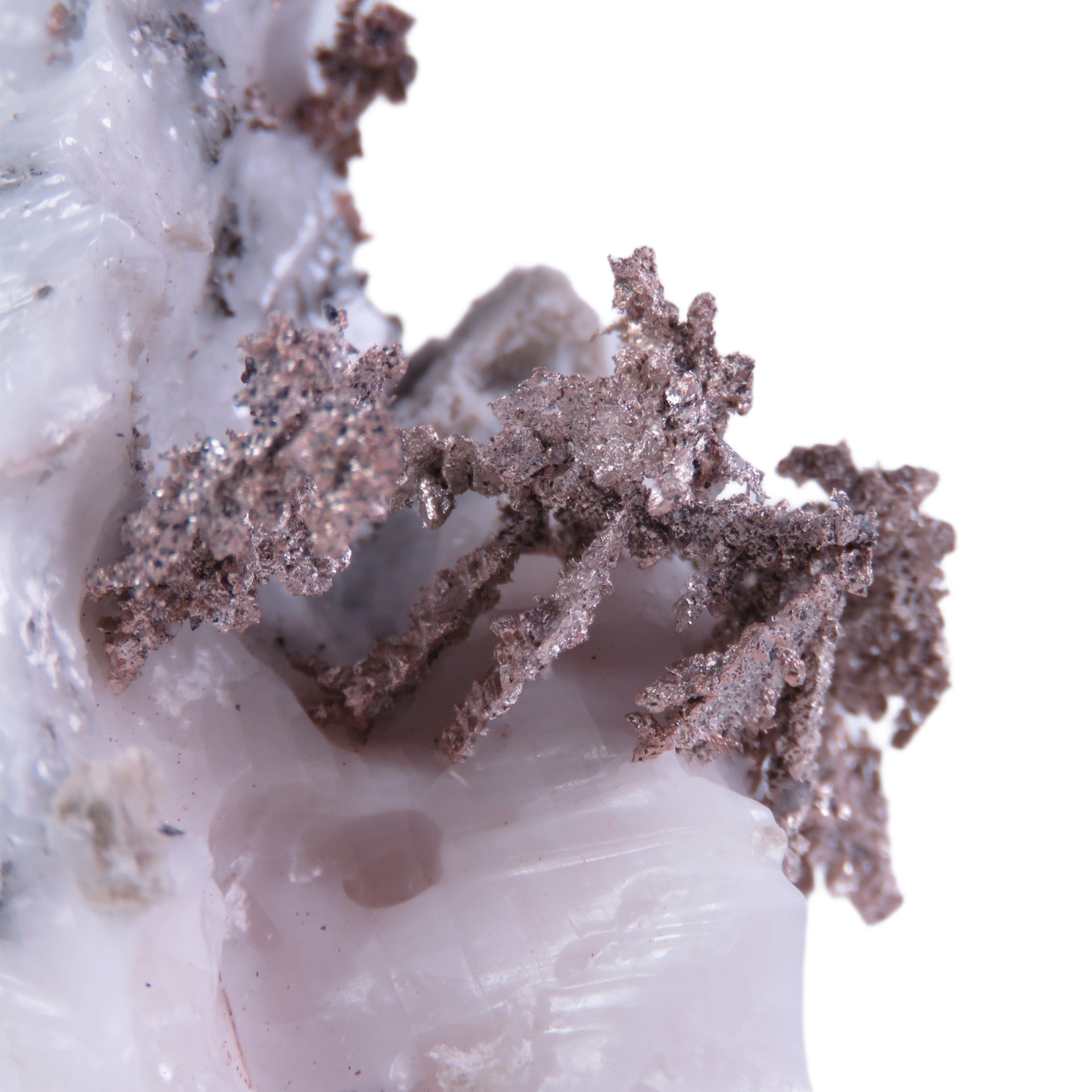 A superb specimen featuring sculptural white calcite growth decorated with crystalline silver in delicate leaf-like formations creating striking natural contrast. The 12 cm piece from Morocco's Imiter Mine displays dramatic vertical orientation, exceptional aesthetics, and exhibits vivid red fluorescence under UV light.