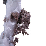 A superb specimen featuring sculptural white calcite growth decorated with crystalline silver in delicate leaf-like formations creating striking natural contrast. The 12 cm piece from Morocco's Imiter Mine displays dramatic vertical orientation, exceptional aesthetics, and exhibits vivid red fluorescence under UV light.