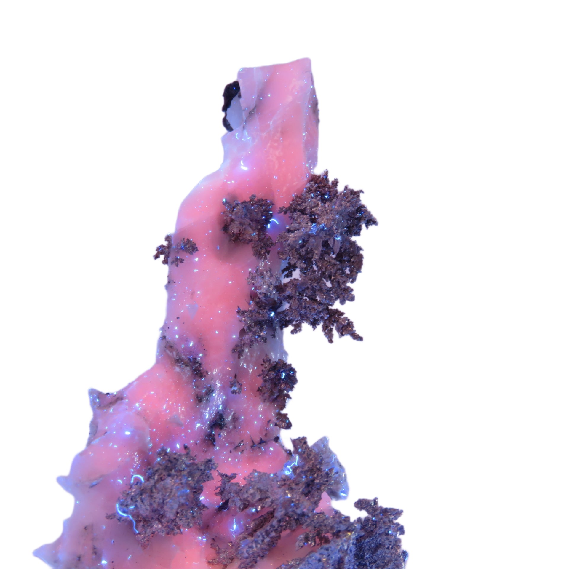 A superb specimen featuring sculptural white calcite growth decorated with crystalline silver in delicate leaf-like formations creating striking natural contrast. The 12 cm piece from Morocco's Imiter Mine displays dramatic vertical orientation, exceptional aesthetics, and exhibits vivid red fluorescence under UV light.