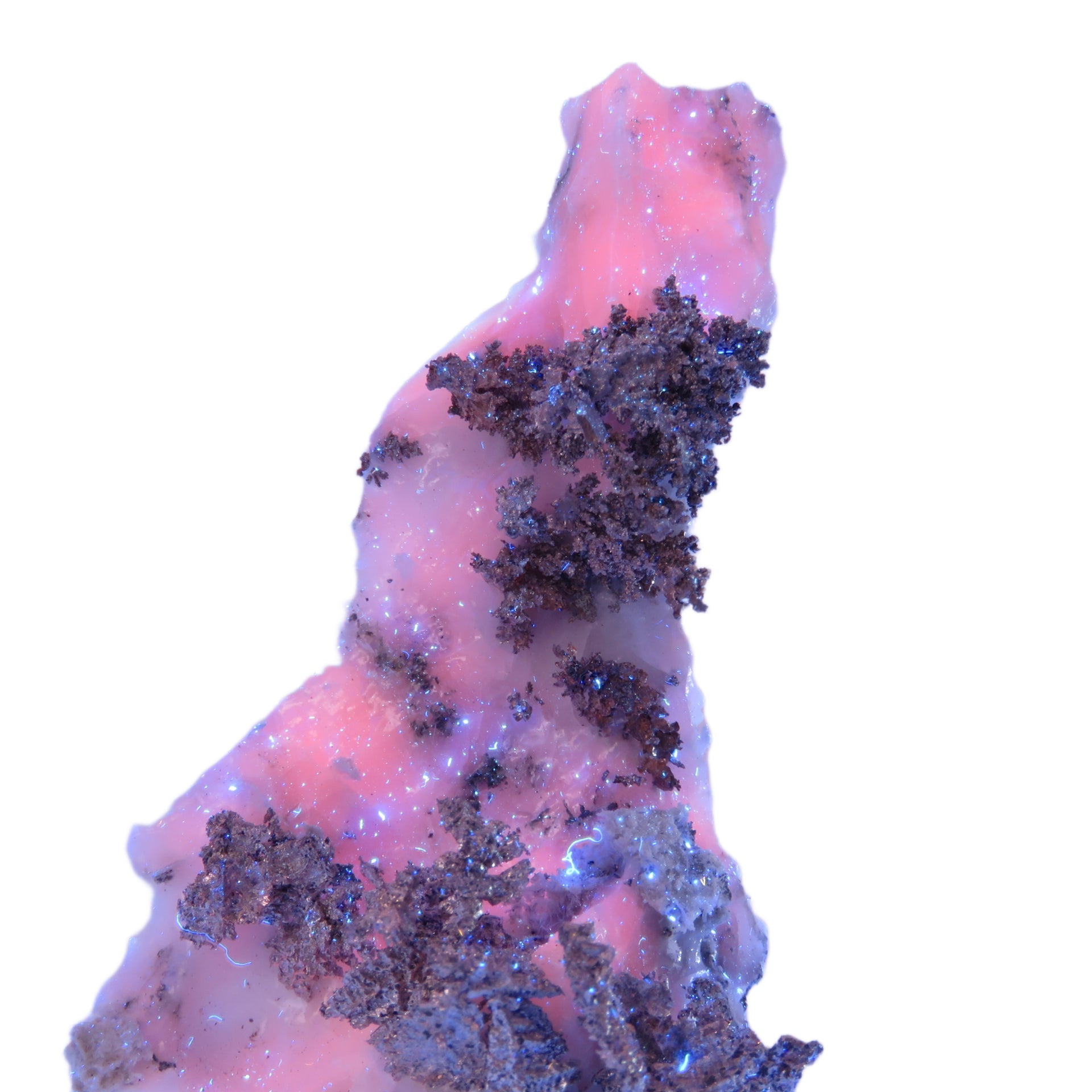 A superb specimen featuring sculptural white calcite growth decorated with crystalline silver in delicate leaf-like formations creating striking natural contrast. The 12 cm piece from Morocco's Imiter Mine displays dramatic vertical orientation, exceptional aesthetics, and exhibits vivid red fluorescence under UV light.