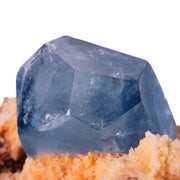 A striking specimen featuring a single, well-formed cobalt-blue celestine crystal rising from a bed of creamy orange calcite. The celestine crystal is prismatic, measuring 3.2cm in length, with a rich blue color and glassy luster. The matrix consists of delicate, snowball-like formations of calcite crystals in peachy-beige tones, creating a dramatic color contrast with the deep blue celestine.
