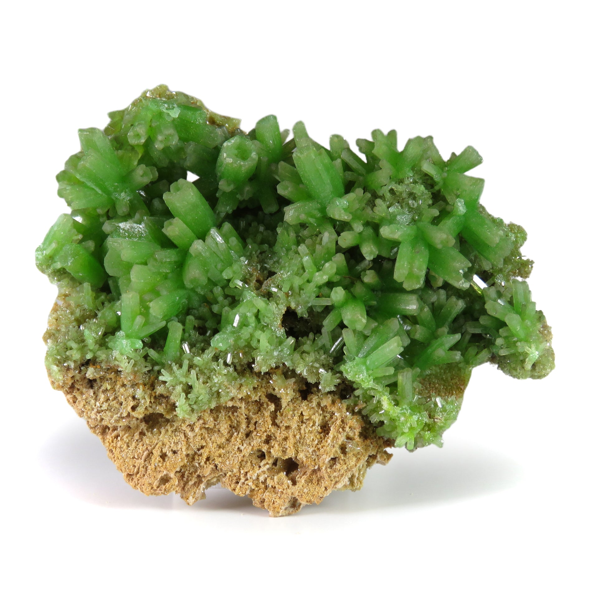A superb pyromorphite specimen featuring radial sprays of lustrous crystals with vivid apple-green color perched on golden limonitic matrix. The 5 cm specimen from China's premier Daoping Mine displays exceptional crystal development, pristine condition, and represents a significant find from recent mining operations.