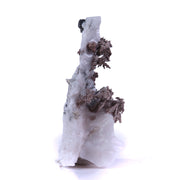 A superb specimen featuring sculptural white calcite growth decorated with crystalline silver in delicate leaf-like formations creating striking natural contrast. The 12 cm piece from Morocco's Imiter Mine displays dramatic vertical orientation, exceptional aesthetics, and exhibits vivid red fluorescence under UV light.