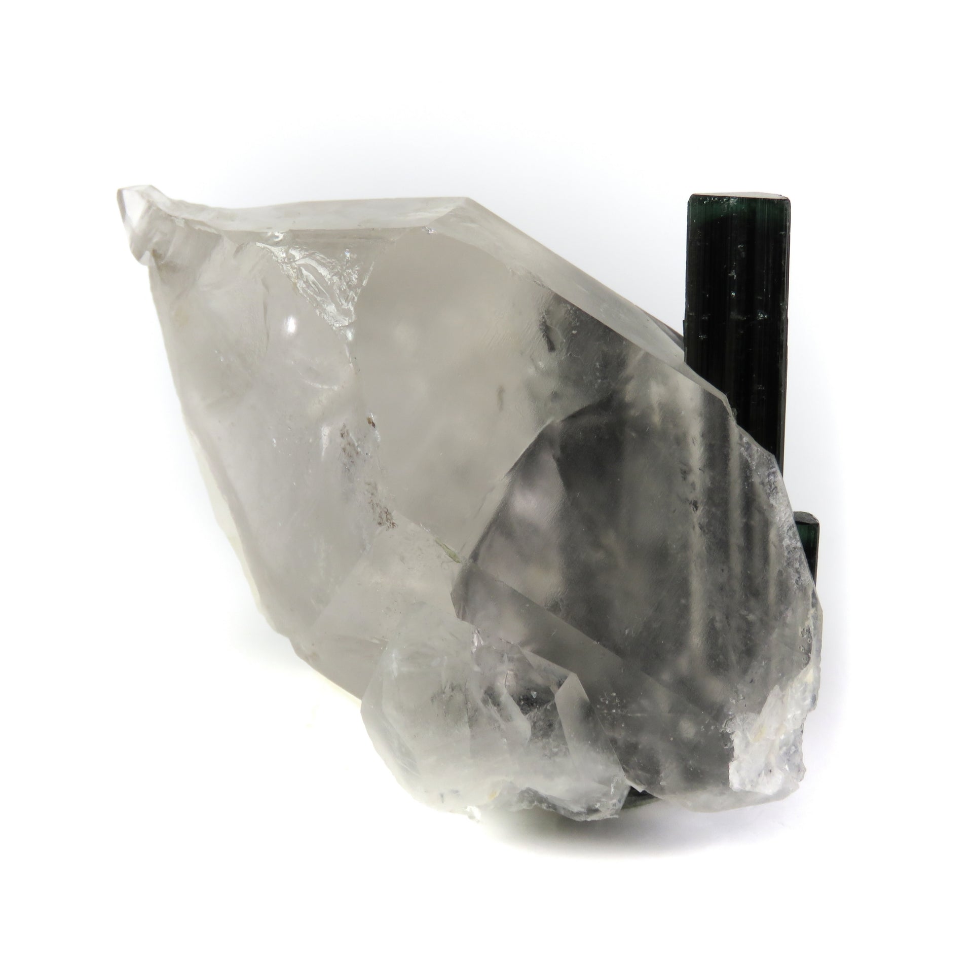 A large, translucent reverse scepter quartz crystal containing embedded blue-green tourmaline crystals. The complex quartz formation shows rehealed surfaces and a pristine termination, with patches of white albite visible. The tourmaline crystals can be seen through the clear portions of the host quartz, creating a striking inclusion specimen.