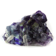 A superior fluorite specimen featuring intergrown cubic crystals with dramatic color zoning from deep purple to vivid blue when backlit. The 4 cm plate displays exceptional transparency, distinctive blue-zoned cube placement, and shows the characteristic fine crystal formation of this notable locality.