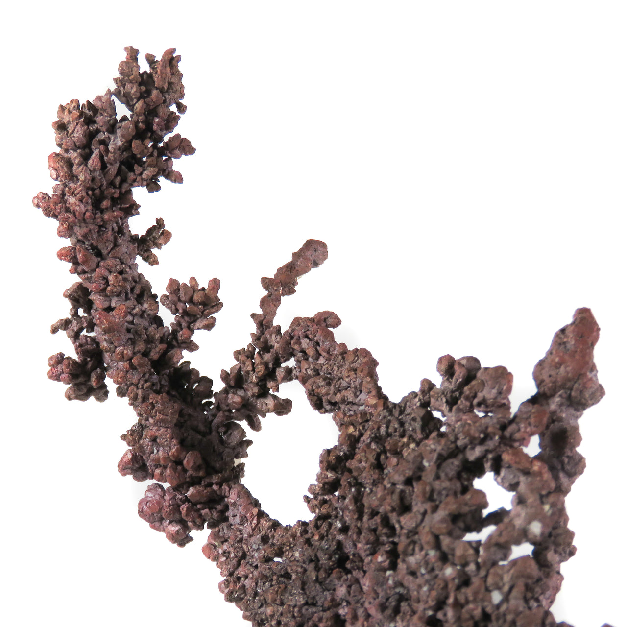 A wonderful native copper specimen featuring dramatic dendritic crystals with rich red-to-pink patina transitions and artistic green secondary mineralization on matrix. The 8 cm specimen from Arizona's historic Ray Mine displays exceptional octahedral crystal development, aesthetic dendritic protrusions, and comes with prestigious Dan R. Kennedy provenance.