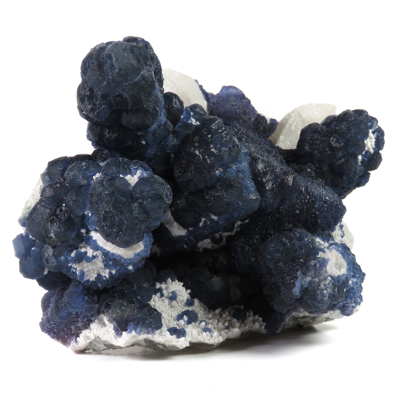 A spectacular blueberry fluorite specimen from Inner Mongolia featuring intense blue-green botryoidal formations and a prominent 5.5 cm cubic crystal, all dramatically mounted on pristine white quartz matrix. The exceptional three-dimensional arrangement and rare cubic growth make this 15 cm piece a superior example from this contemporary locality.