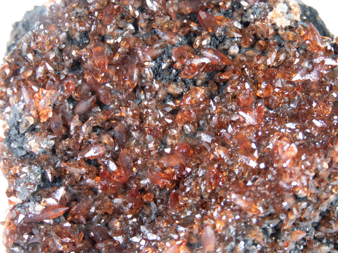 A remarkable rhodochrosite specimen featuring sharp scalenohedral crystals with deep cherry-red to orange coloration and exceptional gemmy transparency. The 7 cm specimen from Gabon's scarce Moanda Mine displays brilliant surface luster, complete coverage, and represents a superior example from this historic African locality.
