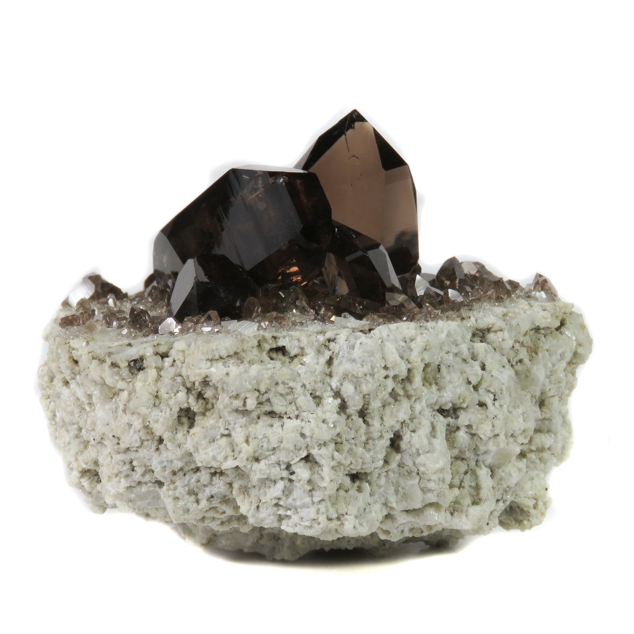 A remarkable smoky quartz specimen featuring two intergrown gwindel crystals with exceptional mirror-like luster and deep smoky coloration perched on pristine adularia matrix. The 8 cm piece from Switzerland's renowned Cavradi Gorge displays textbook closed gwindel formation, prismatic crystals with axial rotation, and represents an extraordinarily rare combination of alpine mineralogy.