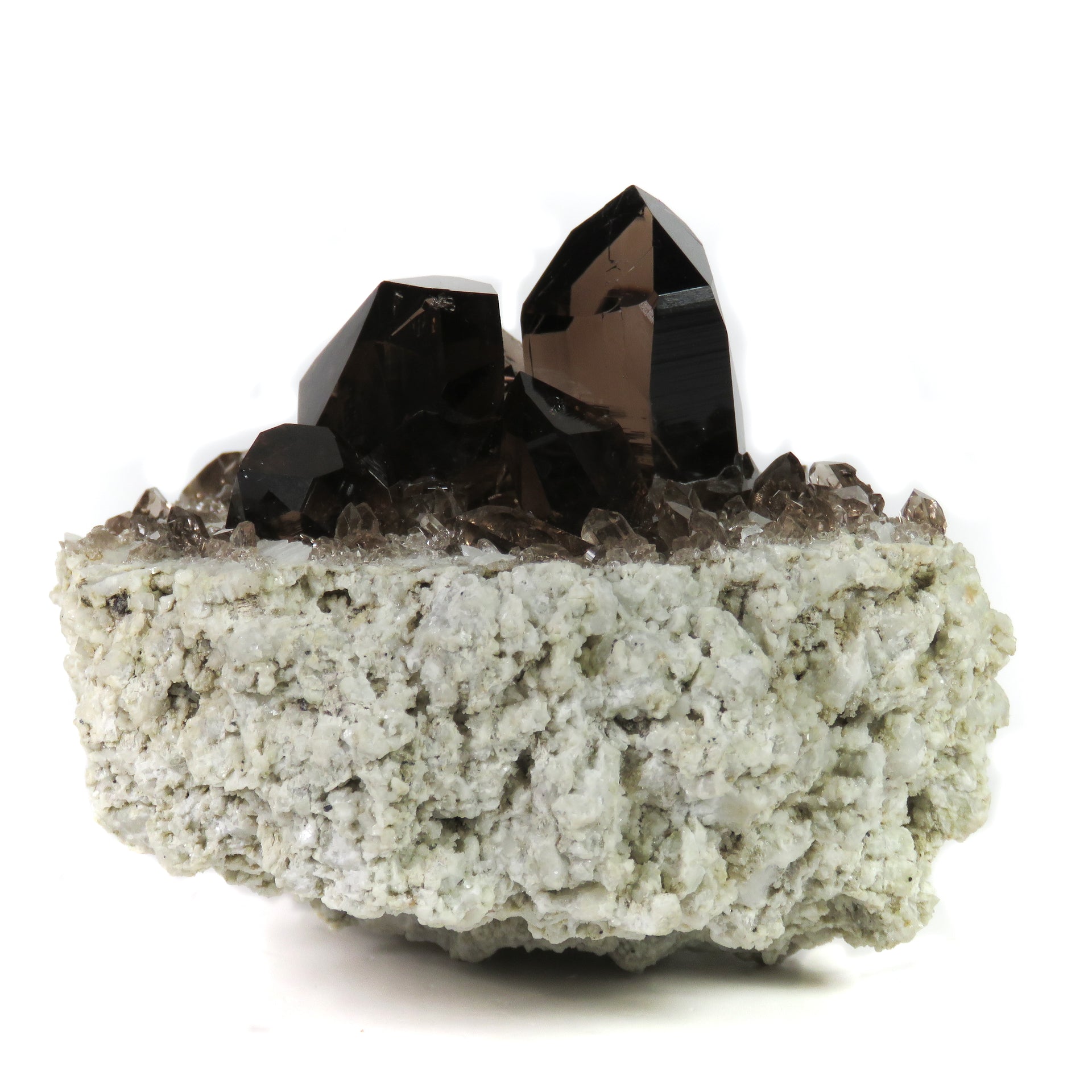 A remarkable smoky quartz specimen featuring two intergrown gwindel crystals with exceptional mirror-like luster and deep smoky coloration perched on pristine adularia matrix. The 8 cm piece from Switzerland's renowned Cavradi Gorge displays textbook closed gwindel formation, prismatic crystals with axial rotation, and represents an extraordinarily rare combination of alpine mineralogy.