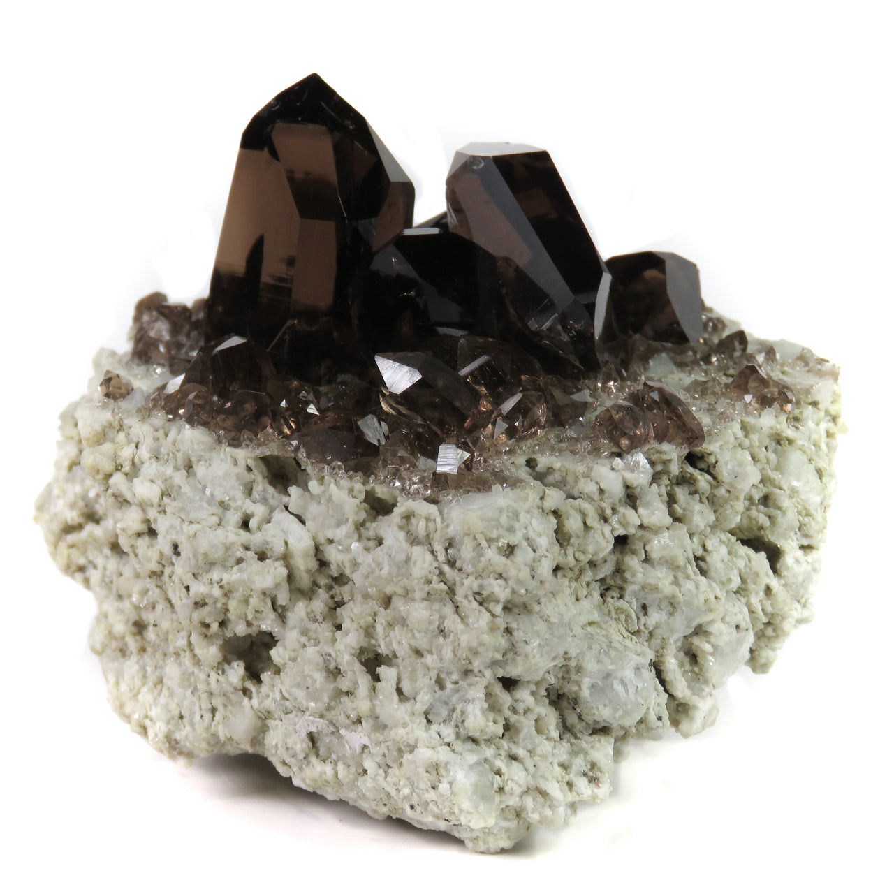 A remarkable smoky quartz specimen featuring two intergrown gwindel crystals with exceptional mirror-like luster and deep smoky coloration perched on pristine adularia matrix. The 8 cm piece from Switzerland's renowned Cavradi Gorge displays textbook closed gwindel formation, prismatic crystals with axial rotation, and represents an extraordinarily rare combination of alpine mineralogy.