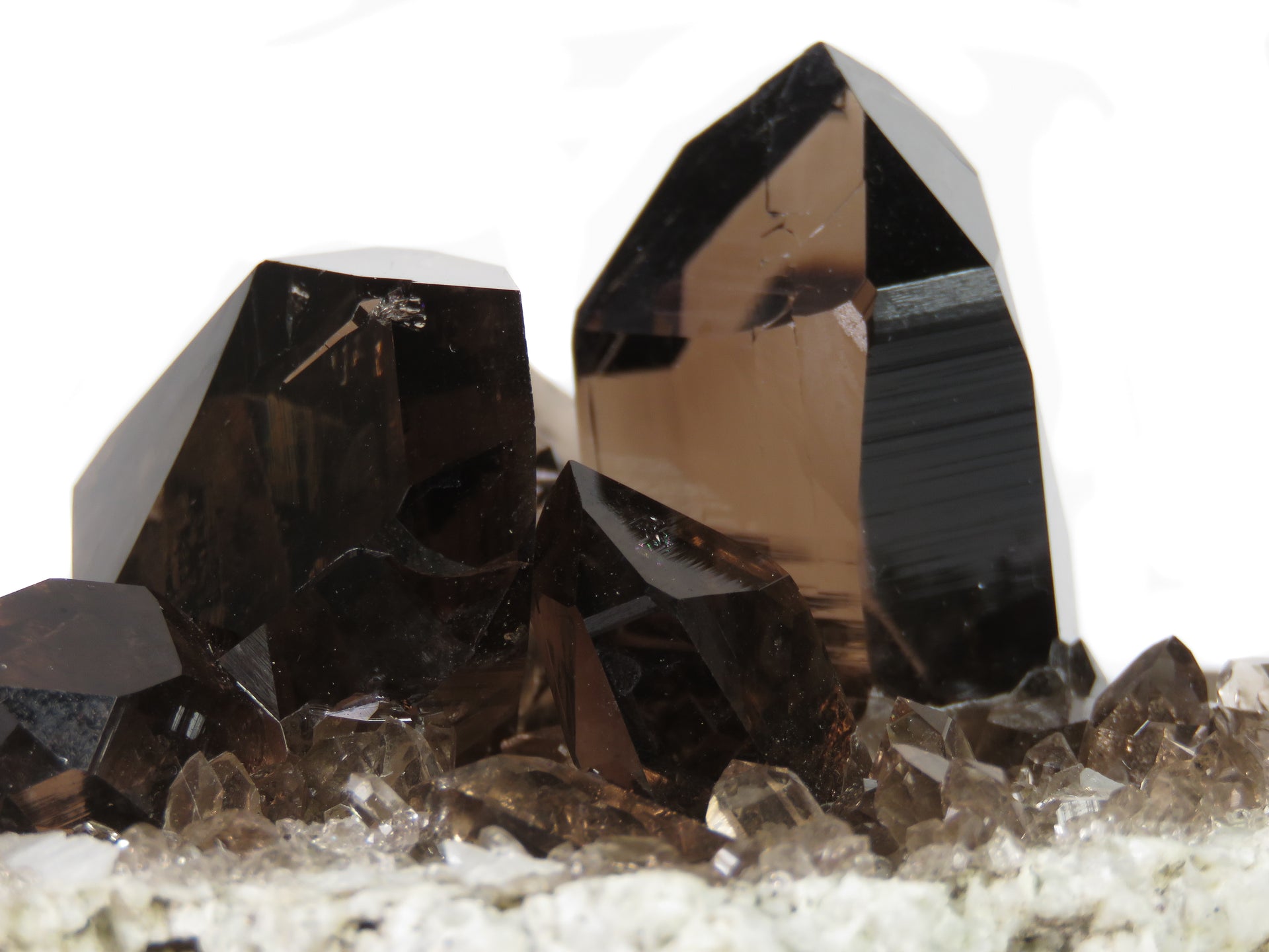 A remarkable smoky quartz specimen featuring two intergrown gwindel crystals with exceptional mirror-like luster and deep smoky coloration perched on pristine adularia matrix. The 8 cm piece from Switzerland's renowned Cavradi Gorge displays textbook closed gwindel formation, prismatic crystals with axial rotation, and represents an extraordinarily rare combination of alpine mineralogy.