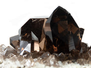 A remarkable smoky quartz specimen featuring two intergrown gwindel crystals with exceptional mirror-like luster and deep smoky coloration perched on pristine adularia matrix. The 8 cm piece from Switzerland's renowned Cavradi Gorge displays textbook closed gwindel formation, prismatic crystals with axial rotation, and represents an extraordinarily rare combination of alpine mineralogy.