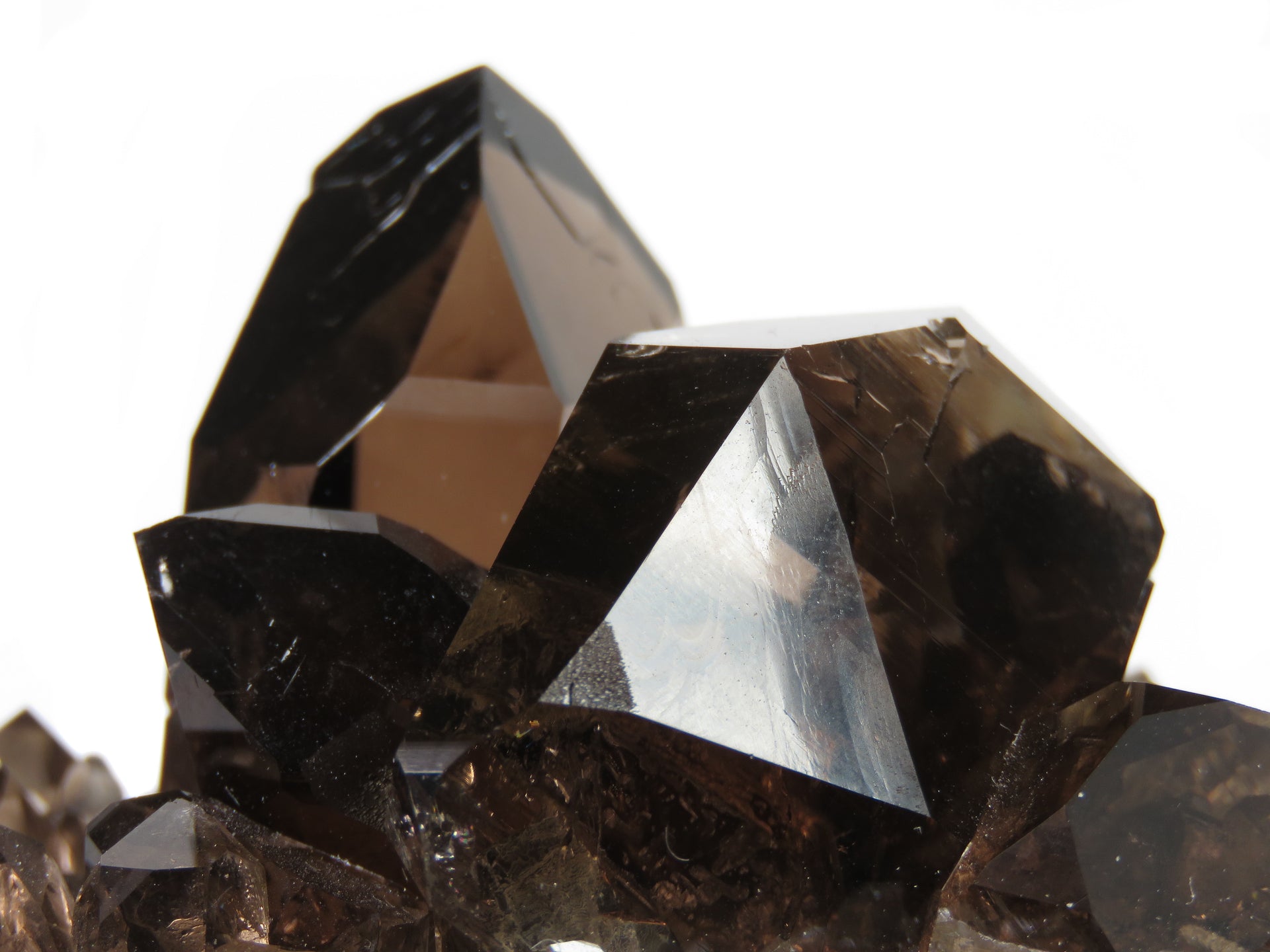 A remarkable smoky quartz specimen featuring two intergrown gwindel crystals with exceptional mirror-like luster and deep smoky coloration perched on pristine adularia matrix. The 8 cm piece from Switzerland's renowned Cavradi Gorge displays textbook closed gwindel formation, prismatic crystals with axial rotation, and represents an extraordinarily rare combination of alpine mineralogy.