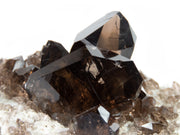 A remarkable smoky quartz specimen featuring two intergrown gwindel crystals with exceptional mirror-like luster and deep smoky coloration perched on pristine adularia matrix. The 8 cm piece from Switzerland's renowned Cavradi Gorge displays textbook closed gwindel formation, prismatic crystals with axial rotation, and represents an extraordinarily rare combination of alpine mineralogy.