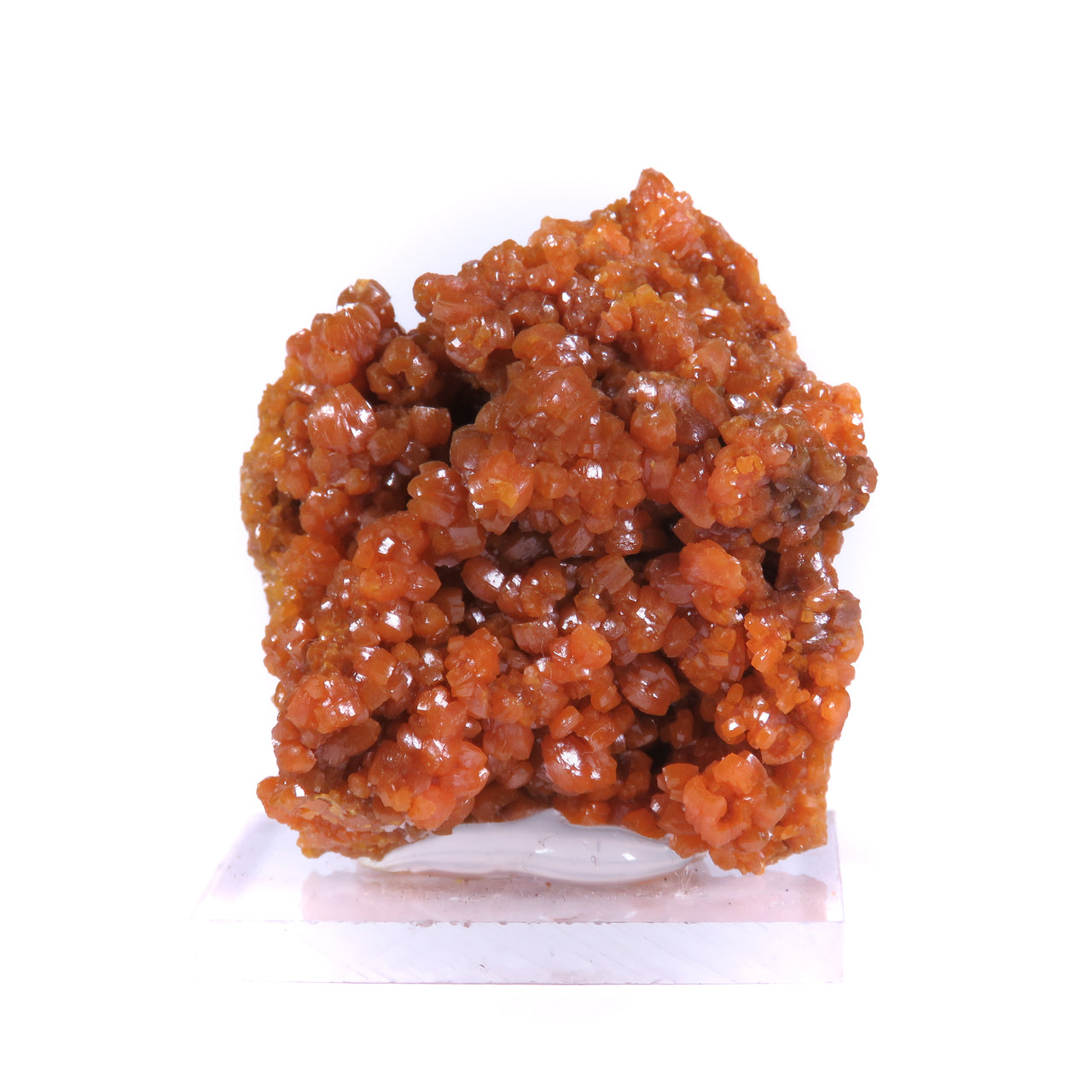 A splendid pyromorphite specimen featuring densely clustered crystals with rich orange coloration and exceptional glossy luster. The 4 cm specimen from Morocco's historic Guatomo Mine displays superb crystal development, brilliant surface quality, and represents a rare arsenic-rich variant from this notable locality.