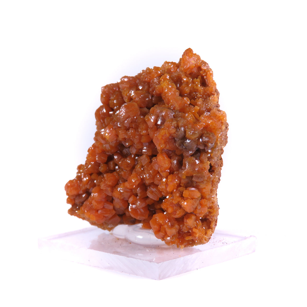 A splendid pyromorphite specimen featuring densely clustered crystals with rich orange coloration and exceptional glossy luster. The 4 cm specimen from Morocco's historic Guatomo Mine displays superb crystal development, brilliant surface quality, and represents a rare arsenic-rich variant from this notable locality.