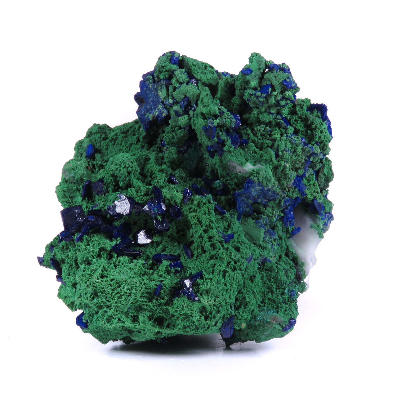 A mineral specimen showcasing a dramatic interplay of bright mint green bayldonite and deep blue azurite crystals. The specimen has a textural, almost spongy appearance with the green bayldonite forming a continuous matrix intergrown with vibrant blue azurite crystals. Some areas show partial pseudomorphic replacement of azurite by malachite. Small white crystalline formations are also visible throughout. The specimen is photographed against a white background, highlighting the striking color contrast betwe