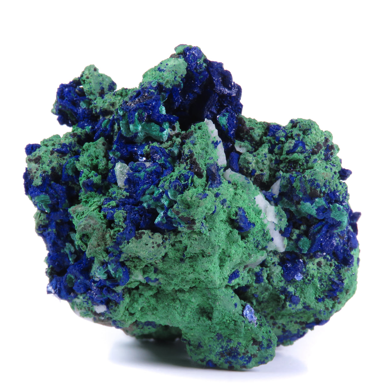 A mineral specimen showcasing a dramatic interplay of bright mint green bayldonite and deep blue azurite crystals. The specimen has a textural, almost spongy appearance with the green bayldonite forming a continuous matrix intergrown with vibrant blue azurite crystals. Some areas show partial pseudomorphic replacement of azurite by malachite. Small white crystalline formations are also visible throughout. The specimen is photographed against a white background, highlighting the striking color contrast betwe