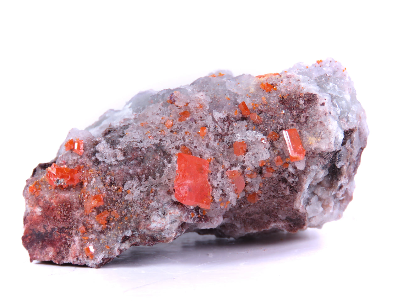A superior wulfenite specimen featuring vibrant orange bladed crystals perched dramatically on contrasting botryoidal fluorite matrix. The 8 cm piece from Arizona's Red Cloud Mine displays remarkable crystal definition, stunning UV fluorescence, and represents a scarce mineralogical association from this classic locality.