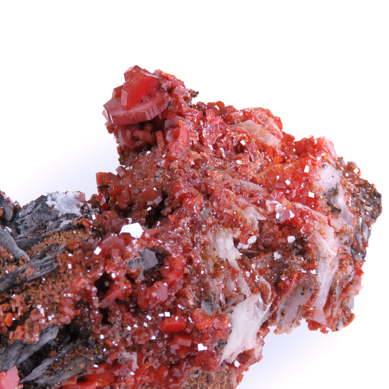 A superior specimen featuring two dramatic clusters of blood-red vanadinite crystals perched on barite matrix, with distinctive dark goethite and white calcite coatings creating striking contrast. The large-scale crystals display exceptional color saturation and complex mineral associations, producing a visually compelling interplay of hues and textures throughout the piece.