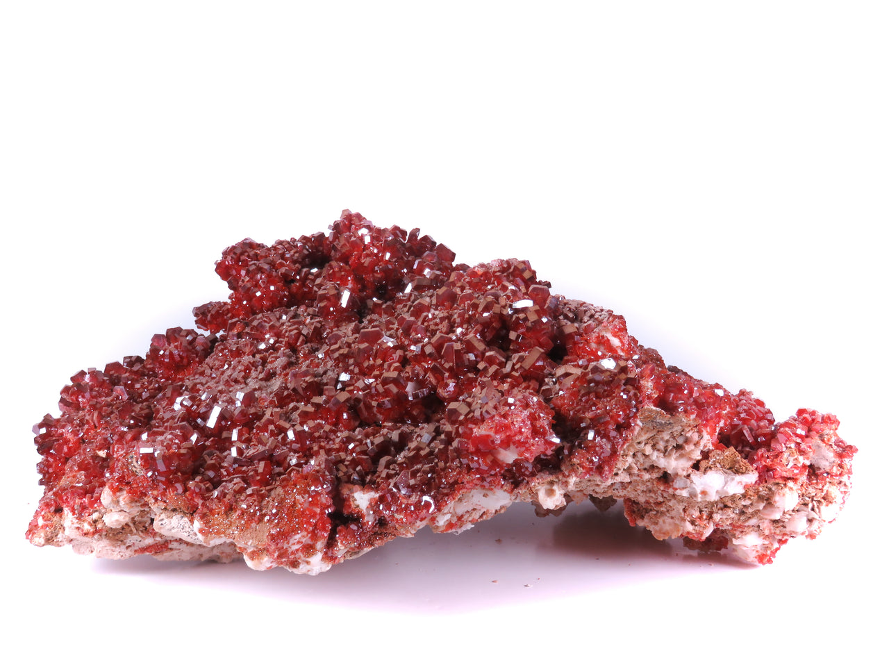 A remarkable Mibladen specimen featuring an enormous cluster of vanadinite crystals displaying a captivating range of colors from blood-red to beige to nearly black, enhanced by a sparkling calcite druze coating. The extraordinary piece presents thousands of crystals in a massive matrix-based display, with the crystalline druze adding a lustrous contrast that elevates this specimen above typical examples from this prolific locality.