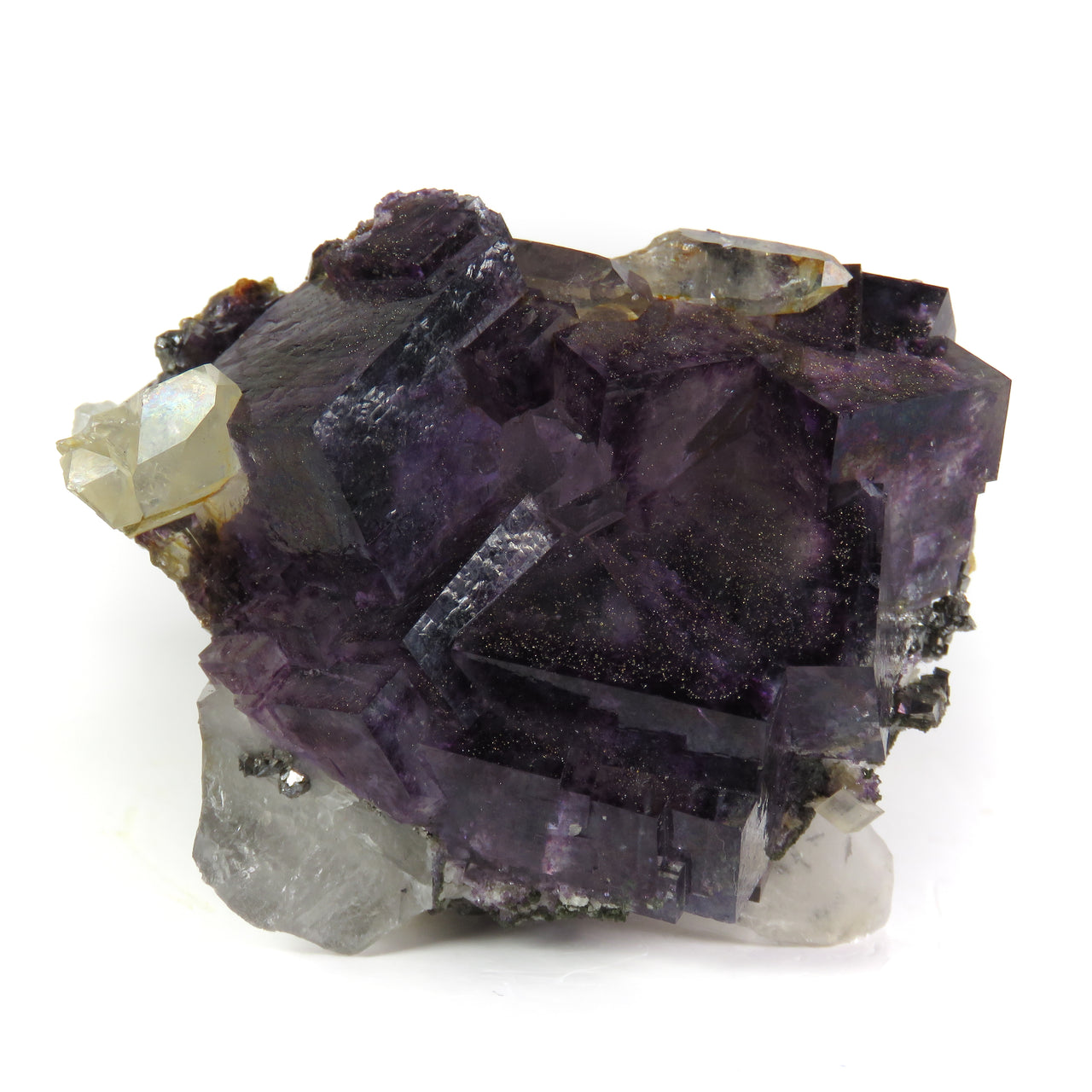 A superior fluorite specimen featuring partially twinned cubic crystals with vibrant purple transparency and distinctive arsenopyrite and chalcopyrite accents. The 5 cm cluster displays iridescent crystal faces, sparkles in strong lighting, and sits elegantly perched on white quartz matrix.