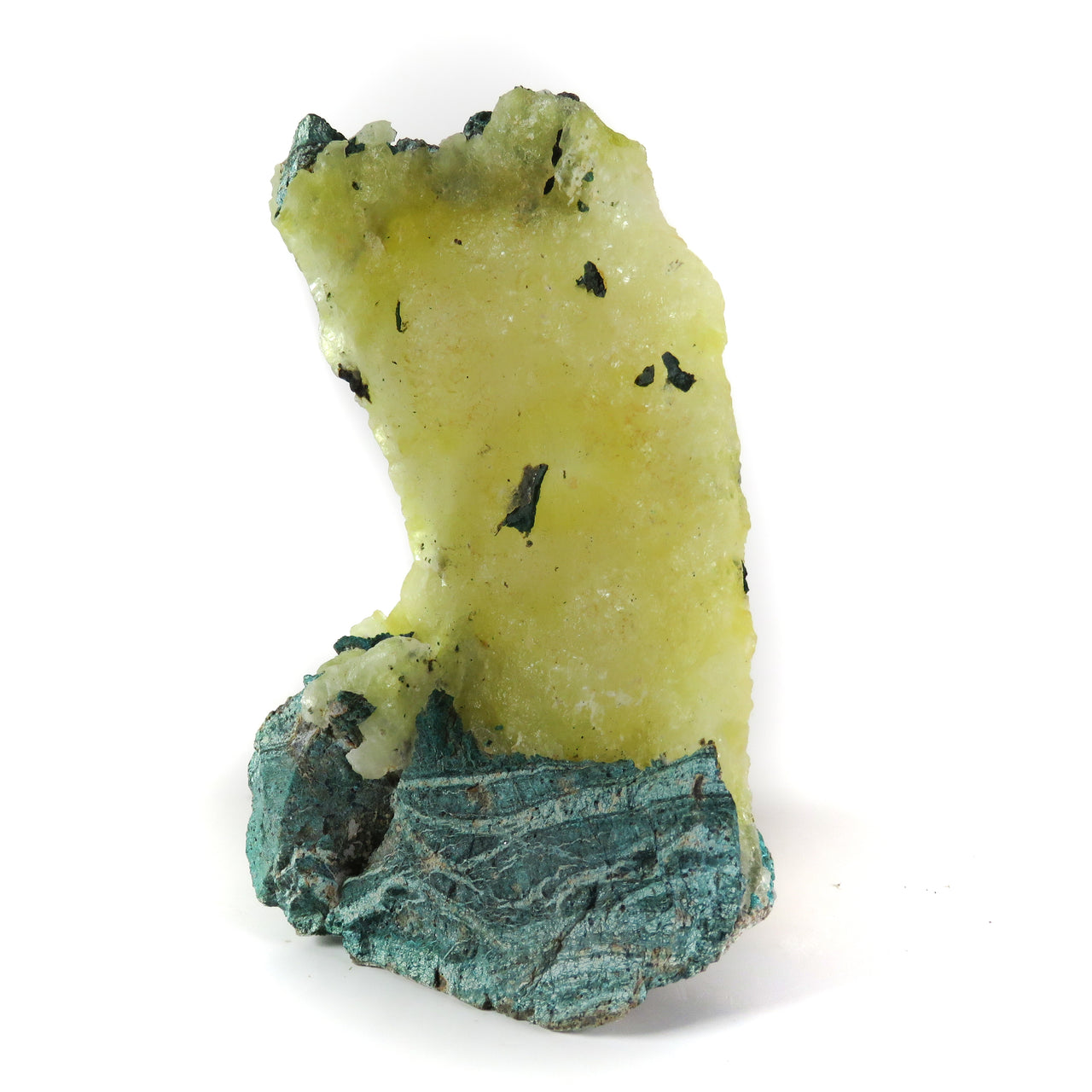A striking specimen featuring a large, lemon-yellow brucite crystal column emerging from a base of blue-green matrix rock. The translucent brucite formation stands prominently upright, dotted with small dark inclusions, while the matrix shows layered textures in contrasting turquoise tones. The natural positioning creates a dramatic presentation where the brucite appears to be wedged between the matrix layers.