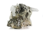 A fascinating pyrite specimen featuring brilliant metallic crystals with natural cavities intergrown with radiating clear and smoky quartz. The 6 cm specimen displays exceptional multi-generational growth patterns, dynamic light play, and represents a unique crystallization sequence with pristine display aesthetics.