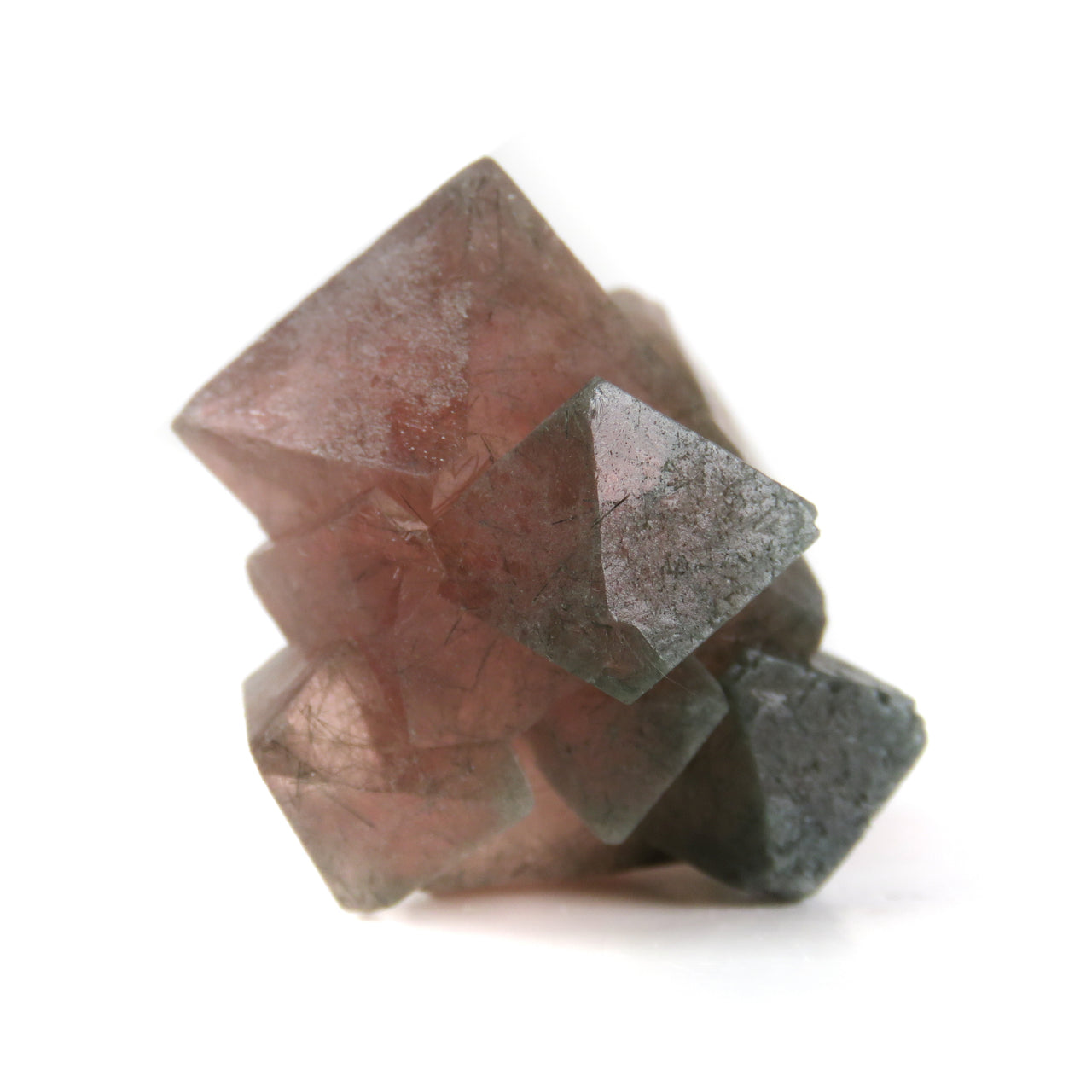 A striking cluster of pink fluorite octahedra from Huanggang Mine, China, formed as a pristine floater specimen. The crystals host delicate green actinolite inclusions and demonstrate the exceptional quality that briefly rivaled classic Alpine specimens from this now-depleted pocket. Individual crystals reach 2 cm in size, creating an aesthetic intergrown cluster.