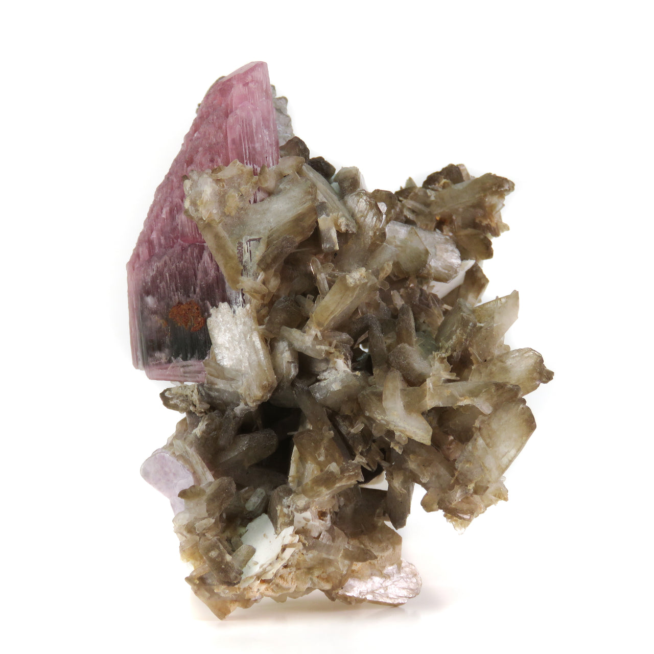 A superior specimen featuring a richly colored rubellite tourmaline crystal dramatically contrasted against tan stilbite crystals, white albite, and purple sheets of polylithionite-trilithionite series minerals. The distinctive crystal displays both a flat termination and an intriguingly etched pointed tip, creating an elegant composition that highlights this rare mineral association.