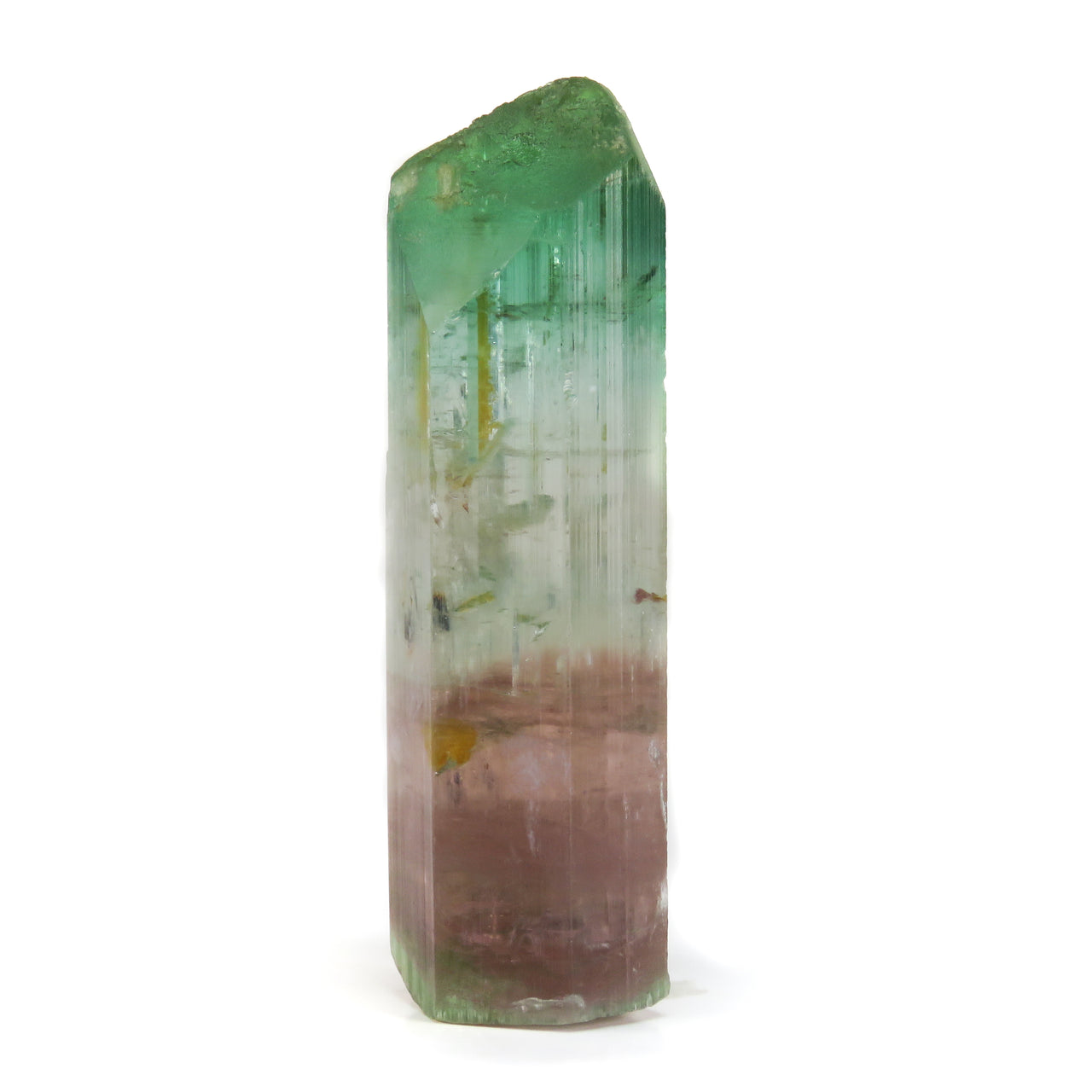 A superior Nigerian tourmaline specimen featuring a large doubly-terminated floater crystal with dramatic color zoning from vibrant green through gem-clear achroite to blue-green and rich pink sections. The remarkable crystal displays exceptional transparency, pristine terminations, and a complex progression of colors that make it a significant example of the latest finds from this prolific locality.