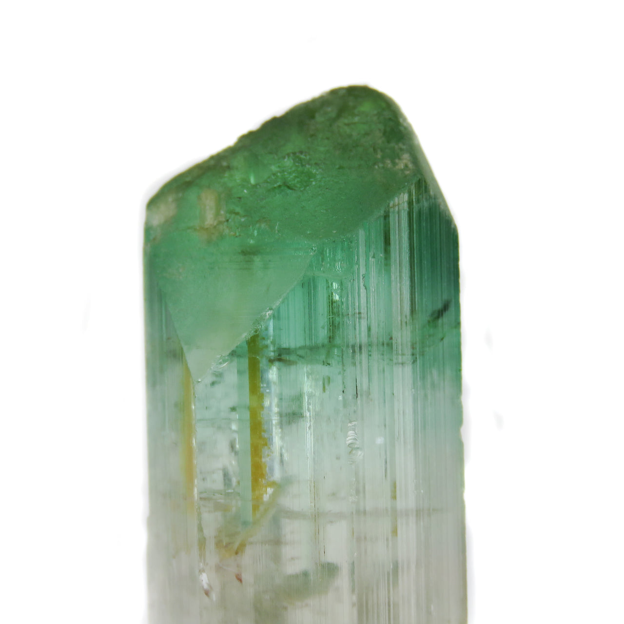 A superior Nigerian tourmaline specimen featuring a large doubly-terminated floater crystal with dramatic color zoning from vibrant green through gem-clear achroite to blue-green and rich pink sections. The remarkable crystal displays exceptional transparency, pristine terminations, and a complex progression of colors that make it a significant example of the latest finds from this prolific locality.