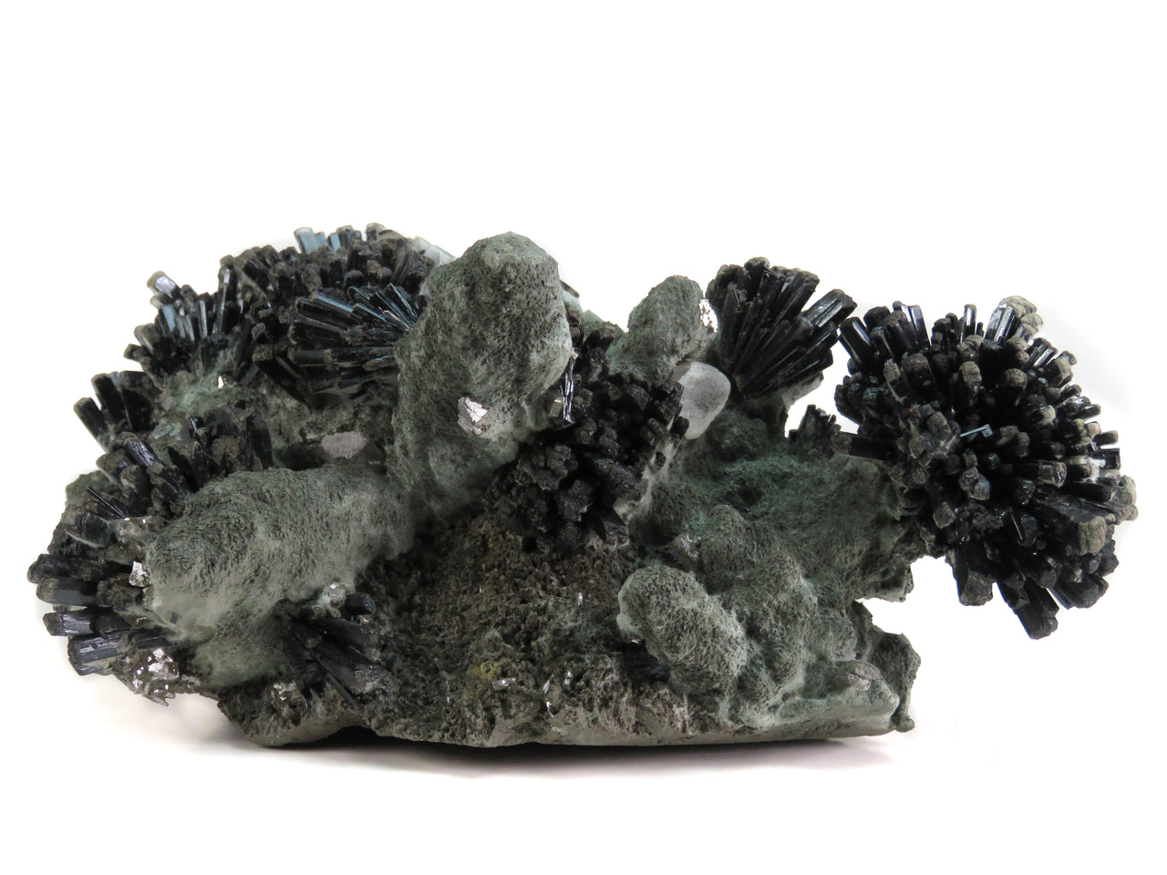 A superior specimen from the Huanggang Mines featuring dramatic starburst clusters of jet-black ilvaite crystals radiating from a chamosite-rich matrix, with light hedenbergite caps adorning the terminations. The sculptural arrangement displays an intricate interplay of calcite and bladed barite crystals throughout, creating a remarkable example of the complex mineral associations characteristic of this prolific locality.