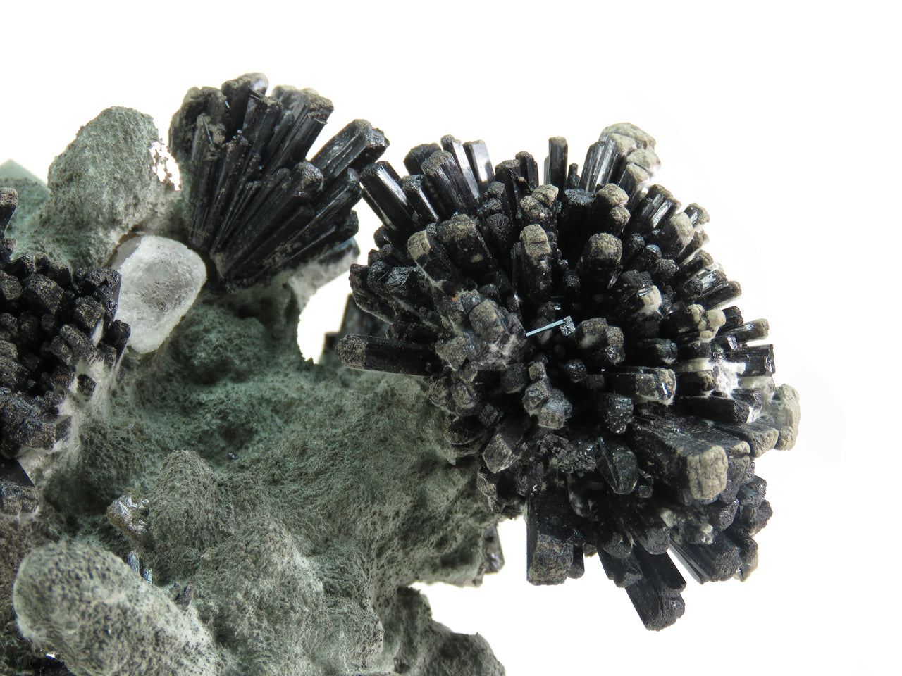 ILVAITE WITH HEBENBERGITE ON CHLORITE