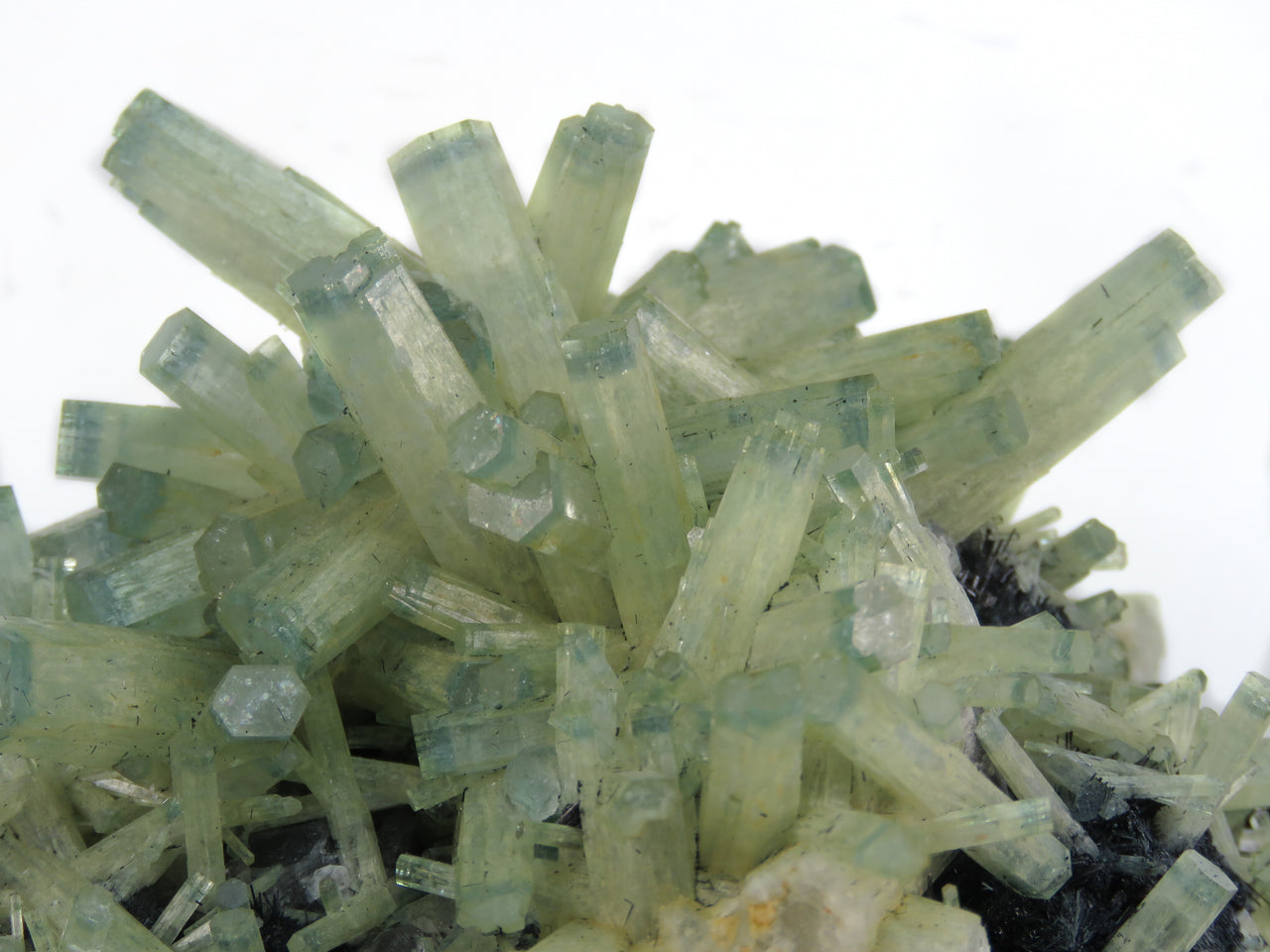 BERYL VAR. AQUAMARINE ON SCHORL