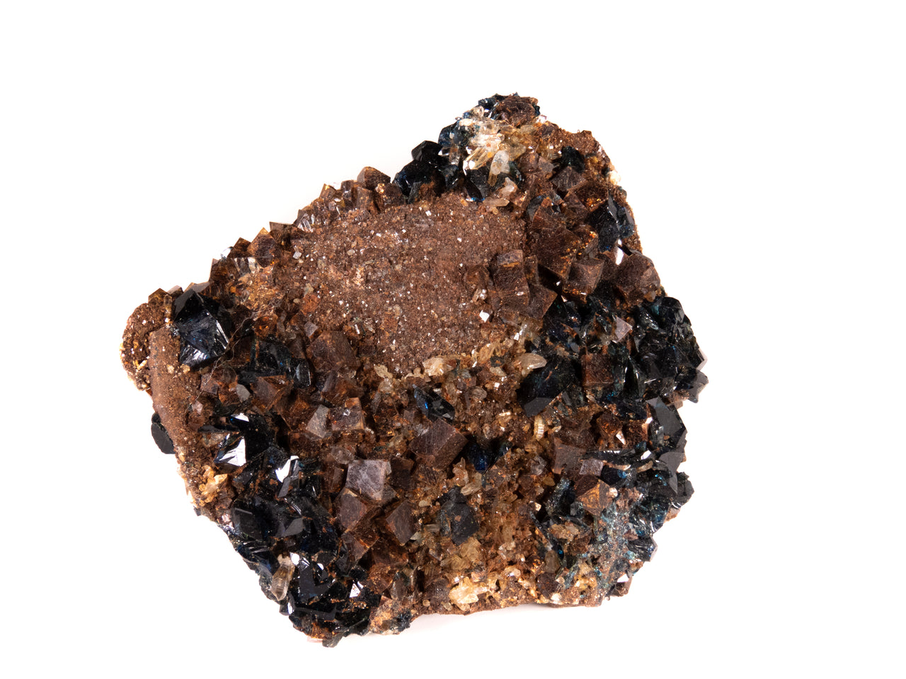 A superior lazulite specimen featuring deep blue crystals clustered harmoniously with lustrous brown siderite and clear quartz. The 7 cm matrix display shows excellent balance between minerals, clean crystal development, and presents attractively from multiple angles.