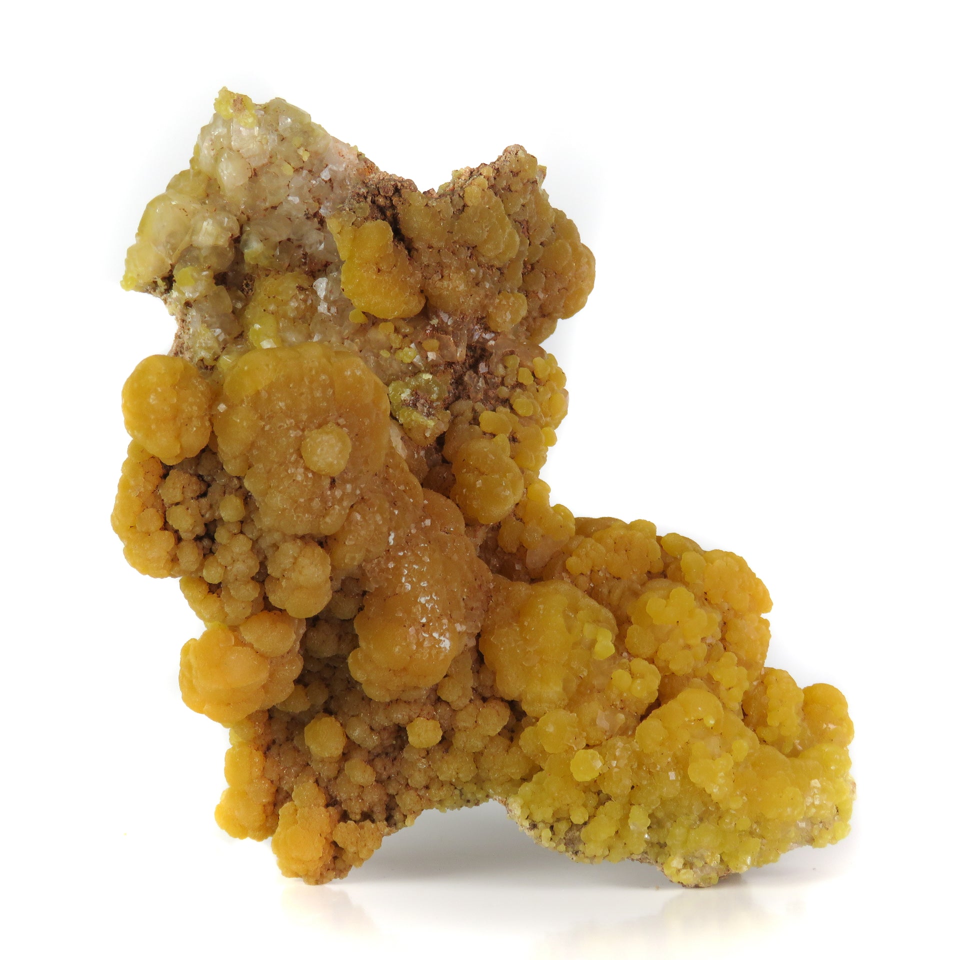 A superior mimetite specimen featuring lustrous botryoidal formations with rich orange-to-yellow color zoning and sparkling calcite accents. The 6 cm specimen from the historic 1969 San Pedro Corralitos find displays exceptional luster, artistic form, and presents beautifully from multiple angles.