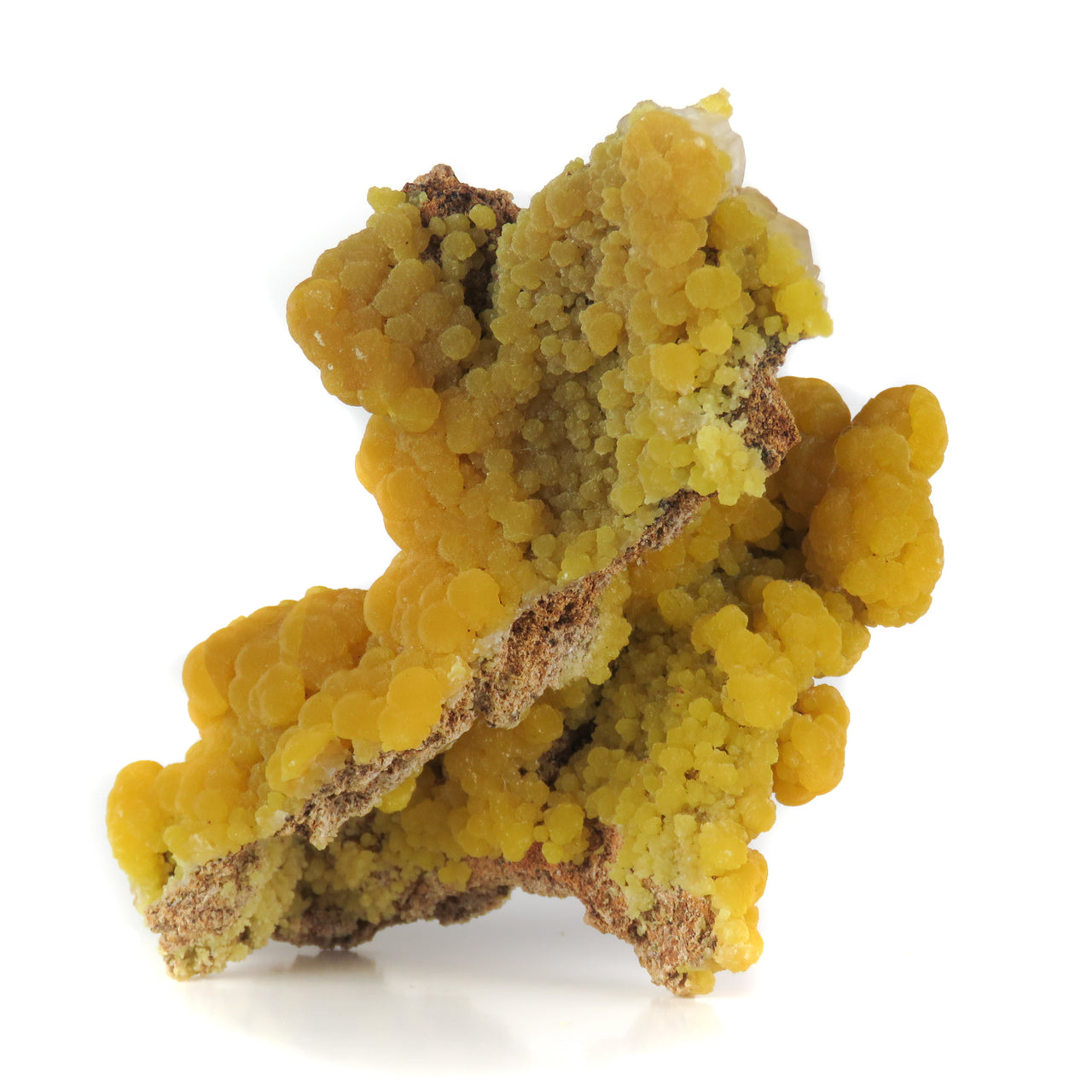 A superior mimetite specimen featuring lustrous botryoidal formations with rich orange-to-yellow color zoning and sparkling calcite accents. The 6 cm specimen from the historic 1969 San Pedro Corralitos find displays exceptional luster, artistic form, and presents beautifully from multiple angles.