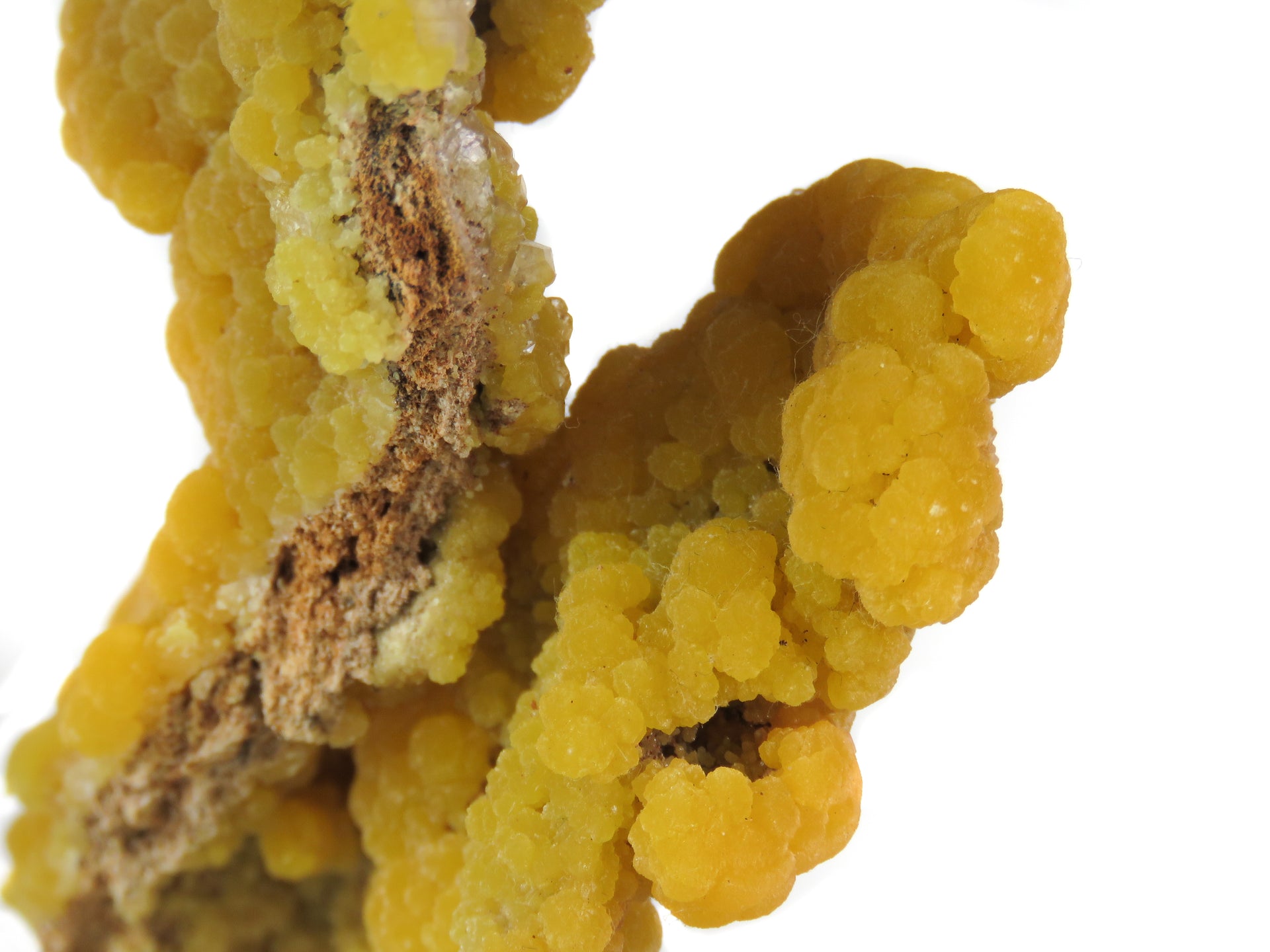 A superior mimetite specimen featuring lustrous botryoidal formations with rich orange-to-yellow color zoning and sparkling calcite accents. The 6 cm specimen from the historic 1969 San Pedro Corralitos find displays exceptional luster, artistic form, and presents beautifully from multiple angles.