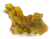 A superior mimetite specimen featuring lustrous botryoidal formations with rich orange-to-yellow color zoning and sparkling calcite accents. The 6 cm specimen from the historic 1969 San Pedro Corralitos find displays exceptional luster, artistic form, and presents beautifully from multiple angles.