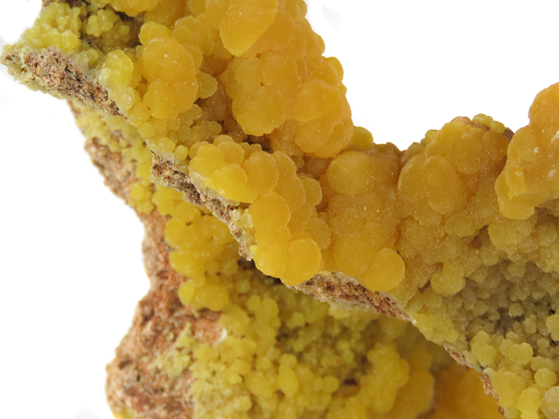 A superior mimetite specimen featuring lustrous botryoidal formations with rich orange-to-yellow color zoning and sparkling calcite accents. The 6 cm specimen from the historic 1969 San Pedro Corralitos find displays exceptional luster, artistic form, and presents beautifully from multiple angles.