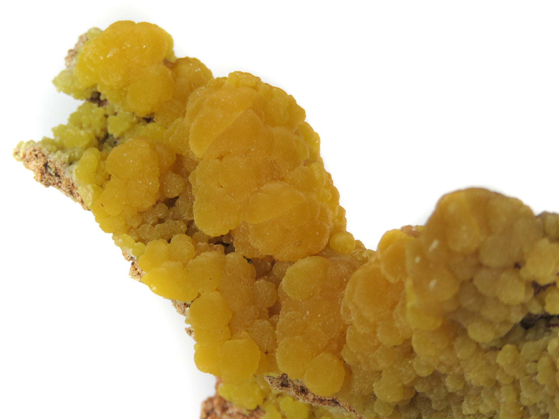 A superior mimetite specimen featuring lustrous botryoidal formations with rich orange-to-yellow color zoning and sparkling calcite accents. The 6 cm specimen from the historic 1969 San Pedro Corralitos find displays exceptional luster, artistic form, and presents beautifully from multiple angles.