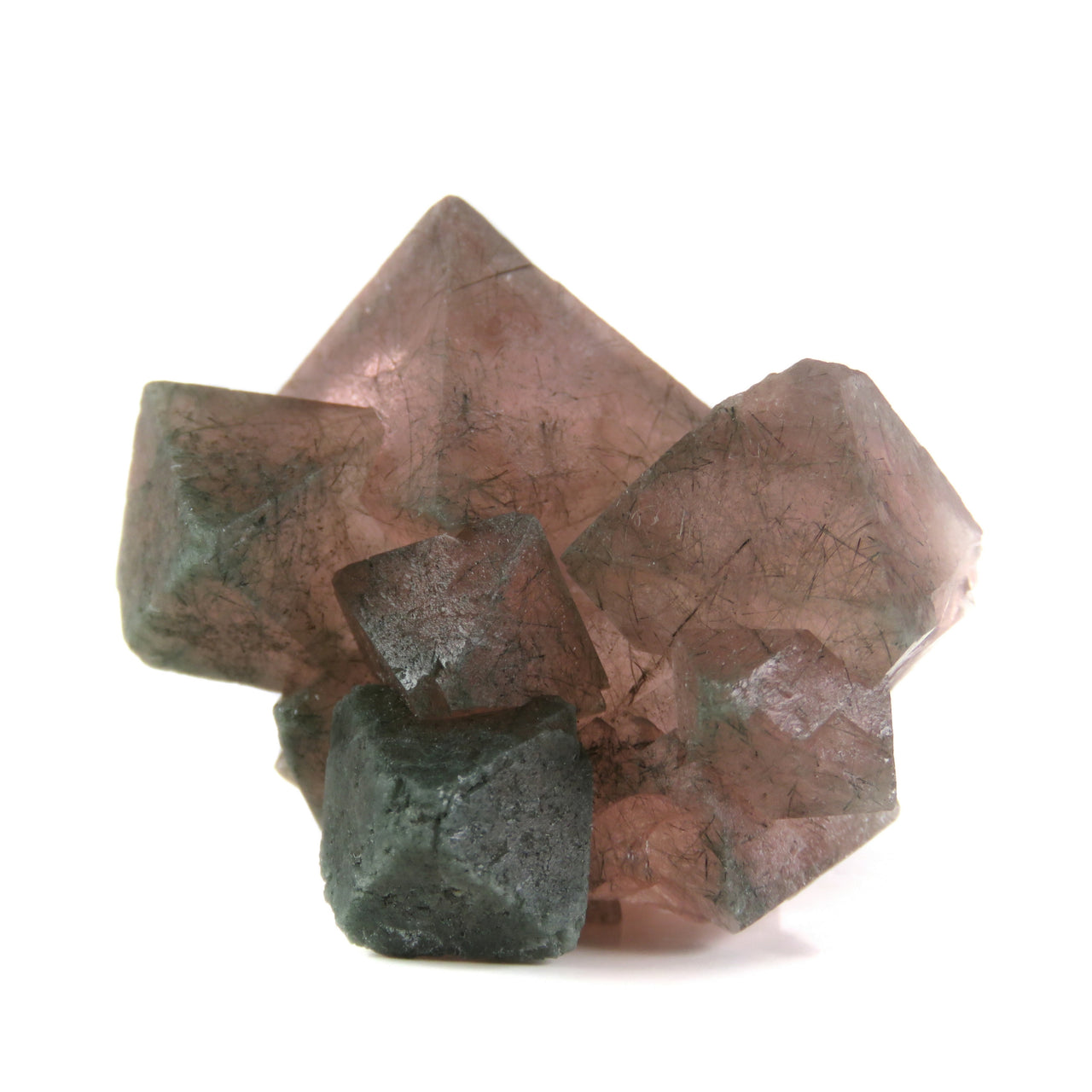 A striking cluster of pink fluorite octahedra from Huanggang Mine, China, formed as a pristine floater specimen. The crystals host delicate green actinolite inclusions and demonstrate the exceptional quality that briefly rivaled classic Alpine specimens from this now-depleted pocket. Individual crystals reach 2 cm in size, creating an aesthetic intergrown cluster.