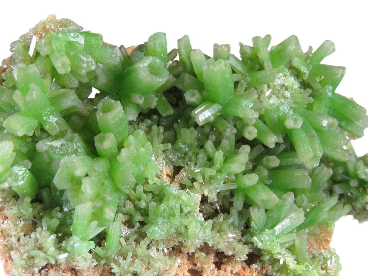 A superb pyromorphite specimen featuring radial sprays of lustrous crystals with vivid apple-green color perched on golden limonitic matrix. The 5 cm specimen from China's premier Daoping Mine displays exceptional crystal development, pristine condition, and represents a significant find from recent mining operations.
